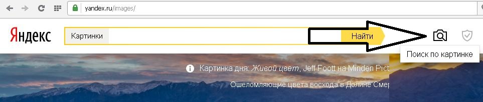 Проверка уникальности изображений в Яндексе - 2